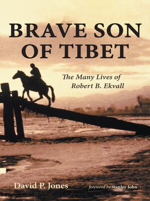 cover image of Brave Son of Tibet